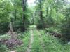 301 Infinity Rd photo